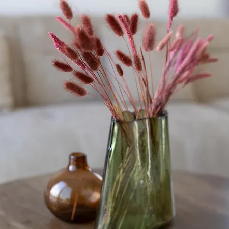 Avs Margarita Gardens Daire